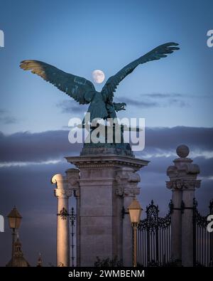 Budapest, Hongrie - Nov 25 2023 : Buda Turul Statue d'oiseau avec pleine lune entre ses ailes pendant le coucher du soleil ; les plus belles statues de Budapest Banque D'Images