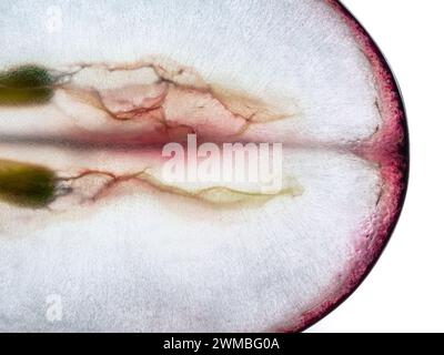 Tranche de raisin bleu, macro. Isolé sur fond blanc. Vue de dessus. Banque D'Images