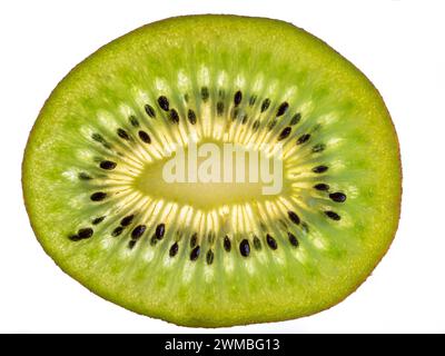 Tranche de kiwi isolée sur fond blanc. Banque D'Images