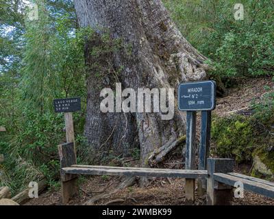 Parc Huerquehue près de Pucon, point de vue n ° 2 sur le sentier de randonnée Los Lagos, panneau pour Lago Verde, la Araucania, Chili Banque D'Images