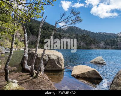 Lac Lago Chico, Parc Huerquehue près de Pucon, sentier de randonnée Los Lagos, la Araucania, Chili Banque D'Images