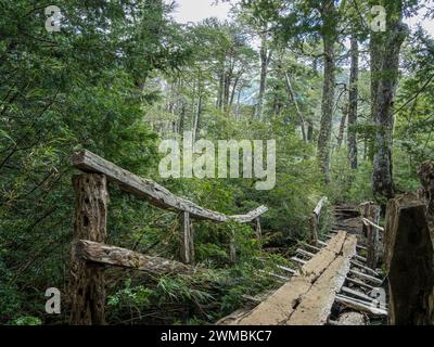 Lac Lago Chico, Parc Huerquehue près de Pucon, sentier de randonnée Los Lagos, la Araucania, Chili Banque D'Images