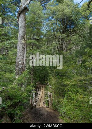 Lac Lago Chico, Parc Huerquehue près de Pucon, sentier de randonnée Los Lagos, la Araucania, Chili Banque D'Images