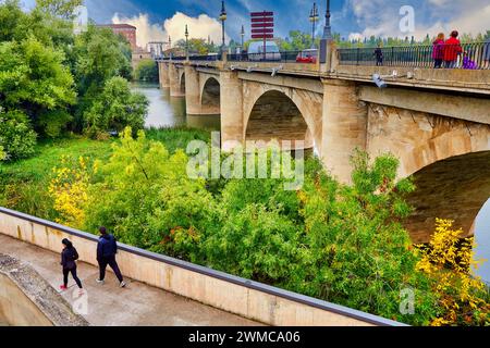 Puente de Piedra (pont de pierre), Rio Ebro, chemin de Saint James, Camino de Santiago, Logroño, la Rioja, Espagne, Europe Banque D'Images