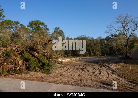 L'habitat forestier indigène détruit pour la construction de nouveaux logements dans le centre-nord de la Floride Banque D'Images