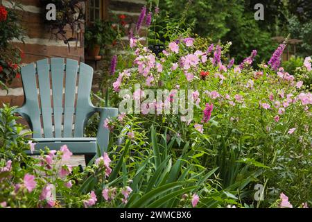 Jardin de parterre de fleurs et chaise Adirondack en face de la vieille cabane rustique teintée brune en rondins avec des frottements en été. Banque D'Images