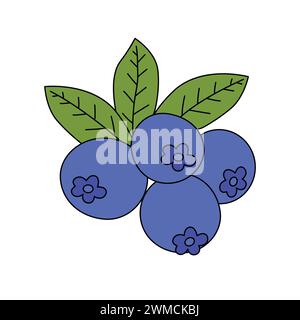 Dessin animé Blueberry fruit coloré. Fruits Coloring pages pour enfants et adultes. Myrtilles avec feuilles illustration vectorielle Illustration de Vecteur