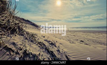 Les teintes chaudes du soleil couchant projettent une lueur sereine sur les dunes de Harlech Beach au pays de Galles, avec les collines lointaines créant une scène côtière tranquille Banque D'Images