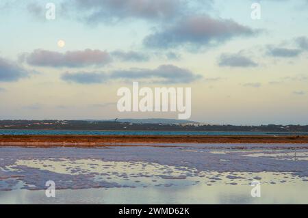 Coucher de soleil avec pleine lune sur salinas près de Estany Pudent (la Savina, ses Salines Natural Park, Formentera, Baléares, mer Méditerranée, Espagne) Banque D'Images