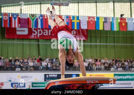 Cottbus, Allemagne. 25 février 2024. Gymnastique : Coupe du monde, hommes : caveau, finale dans la Lausitz Arena. Mahdi Olfati d'Iran en action. Crédit : Frank Hammerschmidt/dpa/Alamy Live News Banque D'Images