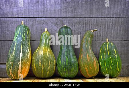 Citrouille verte sur fond en bois. Recadrer. Automne . Produits biologiques. Nourriture. Alimentation saine. Banque D'Images