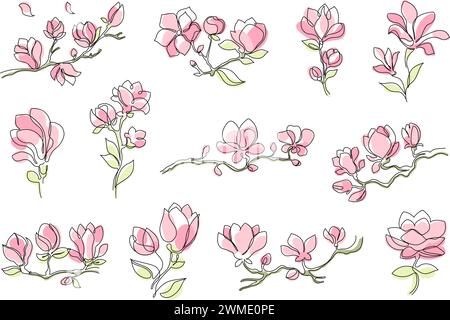 Fleurs de Magnolia. Délicate ligne florale, branches de magnolia florissantes pour des invitations de mariage sur le thème du printemps ou des dessins de cartes de vœux. Décoratif Illustration de Vecteur