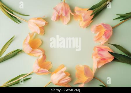 Cadre de tulipes de pêche sur fond vert clair. Concept des vacances de printemps. Vue de dessus, pose à plat. Banque D'Images