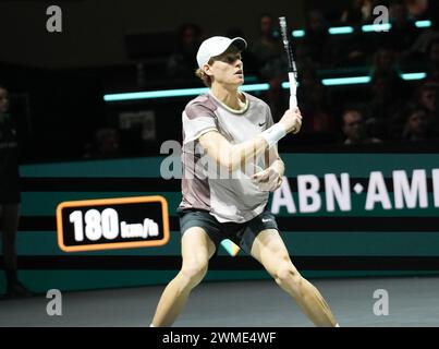 Jannik Sinner of Italy 1/2 FINALE lors de l'ABN Amro Open 2024, ATP 500 tournoi de tennis le 17 février 2024 à Rotterdam, pays-Bas - photo Laurent Lairys / DPPI Banque D'Images