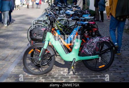 Gand, Belgique - janvier 31 2024 : rangées de vélos électriques de location alignés, prêts à explorer les rues de la ville avec facilité. dott. boulon Banque D'Images