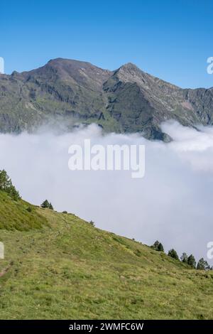 Vallée d'Aure, département des Hautes-Pyrénées, France Banque D'Images
