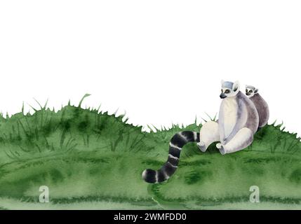 Singe lémurien avec un petit assis sur l'illustration de bannière aquarelle d'herbe. Animal tropical drôle Madagascar dessiné à la main Banque D'Images