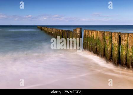Groynes en bois avec spray blanc sur la plage ensoleillée de la mer Baltique Banque D'Images