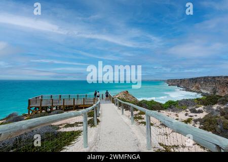 Touristes au belvédère surplombant le Head of Bight, Nullarbor, Australie méridionale, Australie méridionale, Australie méridionale, Australie méridionale Banque D'Images