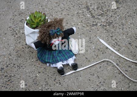 Une adorable poupée avec robe uniforme à l'air anglais assis à l'extérieur sous un ciel nuageux. Cheveux bouclés bruns, plantes en pot, chaussures, adorable, mignon Banque D'Images