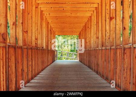 Construction en bois de pont en bois et tunnel avec paysage boisé vert à la sortie, focus sélectif Banque D'Images