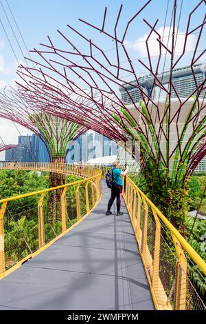 Les gens sur la passerelle surélevée par l'Supertree Grove à Gardens by the Bay, Singapour Banque D'Images