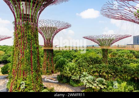 Les gens sur la passerelle surélevée par l'Supertree Grove à Gardens by the Bay, Singapour Banque D'Images