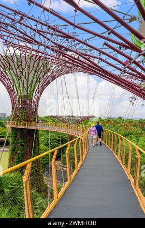 Les gens sur la passerelle surélevée par l'Supertree Grove à Gardens by the Bay, Singapour Banque D'Images