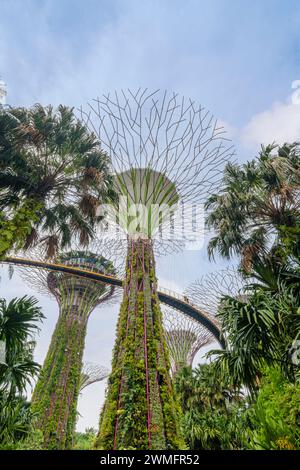 Les gens sur la passerelle surélevée par l'Supertree Grove à Gardens by the Bay, Singapour Banque D'Images