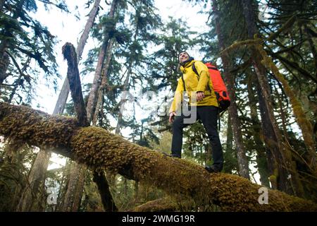 Backpacker debout sur l'arbre couvert de mousse tombé dans la forêt luxuriante Banque D'Images