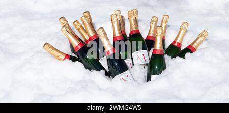 Hanusse Bay, Antarctique - 14 janvier 2024 : bouteilles de champagne Montaudon dans la neige fraîche pour la célébration de l'atterrissage sur glace de croisière en Antarctique. Banque D'Images
