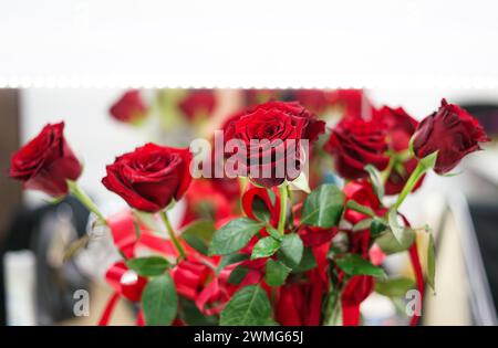 Bouwuet de roses rouges. Gros plan. Banque D'Images