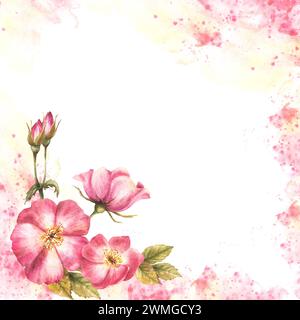 Cadre de fleurs de rose musquée sauvage. Branche briar rouge, bourgeons de rose de chien et feuilles sur l'aquarelle éclaboussures taches fond. Illustration florale dessinée à la main pour Banque D'Images