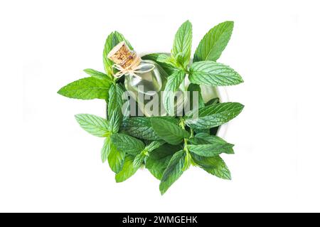 Bouteille en verre d'huile essentielle de menthe poivrée avec des feuilles de menthe verte fraîche isolées sur fond blanc Banque D'Images