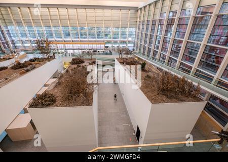 Museo de la evolución humana, MEH, Burgos , Espagne Banque D'Images