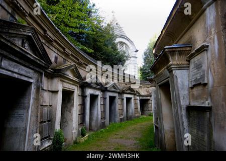 Highgate Cemetery Londres - cercle du Liban Banque D'Images