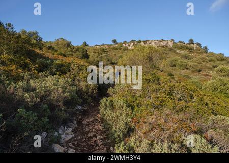 Broussailles méditerranéennes, Puig de Randa, Algaida, Majorque, Îles Baléares, Espagne Banque D'Images