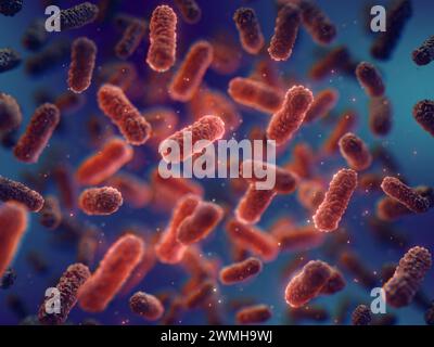 L'utilisation d'antibiotiques entraîne une diminution de l'immunité et une co-infection bactérienne. Bactéries pathogènes rouges sur fond sombre. Bactéries résistantes aux médicaments Banque D'Images