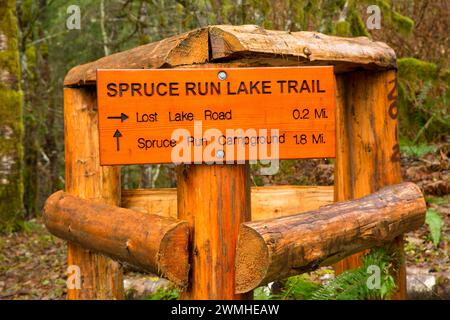 Sentier du ruisseau Junction Run de l'épinette, signe de la forêt d'état de l'Oregon, Clatsop Banque D'Images