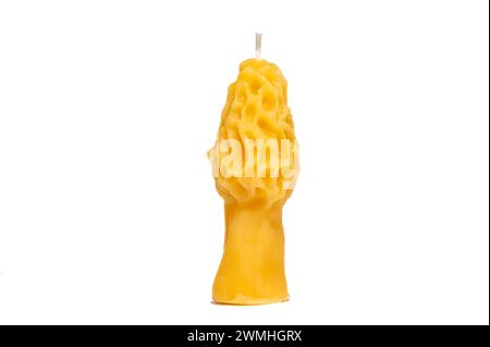 Bougie de cire d'abeilles en forme de champignon morille sur fond blanc Banque D'Images