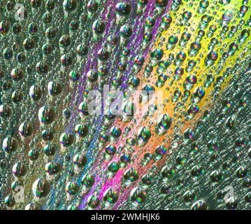 Une texture abstraite macro et un fond avec des gouttes d'eau Banque D'Images