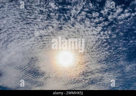 Regarder le soleil à travers une couche de nuages de cirrocumulus stratiformis ou altocumulus. Banque D'Images