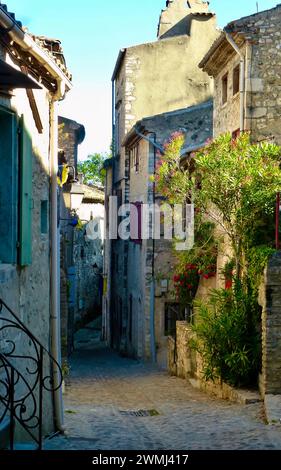 Un bâtiment en pierre avec des plantes poussant sur les murs dans une ruelle, Walkway, Viviers, France Banque D'Images