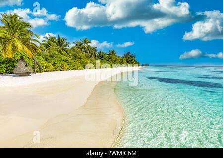 Magnifique paysage de plage d'été. Côte exotique de l'île avec des palmiers et du sable blanc à proximité de la mer bleue étonnante et du lagon. Paradis de la nature tropicale Banque D'Images