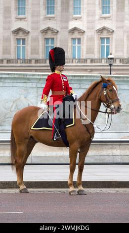 Mounted Coldstream Guards officier Trooping the Coour Color 2023 Buckingham Palace Westminster Londres Banque D'Images