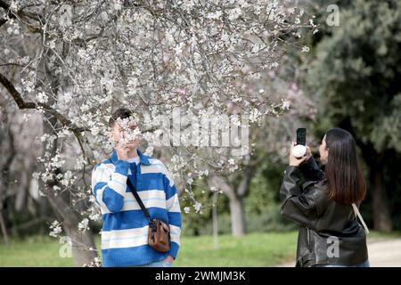 Madrid Espagne ; 02/26/2024.- les amandiers avancent leur floraison à la Quinta de los Molinos robes en rose. Les premières fleurs commencent à germer dans ce qui est un phénomène éphémère qui peut être apprécié pendant seulement deux semaines. Sa floraison a lieu entre les mois de janvier et février, donnant naissance à une fleur blanche et rose. L'amandier a des fleurs saisissantes dans des tons blancs et roses qui annoncent l'arrivée du printemps. Cette année, la floraison a été avancée et il n'est pas bon qu'elle soit avancée, parce que plus elle est avancée, plus nous avons de jours de risque en raison du gel A. Banque D'Images