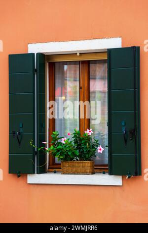 Pittoresque fenêtre de style ancien en bois coloré avec volets verts et fleurs sur le rebord de la fenêtre. Maison orange lumineuse sur l'île de Burano, Venise, Italie. Banque D'Images