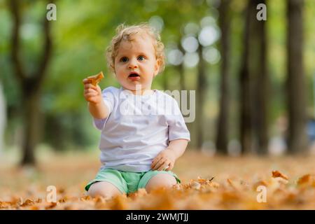 Mignon bébé blond bouclé assis sur l'herbe en automne Banque D'Images