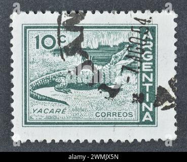 Timbre-poste oblitéré imprimé par l'Argentine, qui montre Caiman (Caiman sp.), vers 1959. Banque D'Images