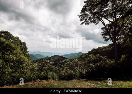 Vue panoramique sur les Great Smoky Mountains Banque D'Images